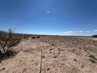 Lot 11 Block 2 Southland Rd unit 11, Alamogordo, NM 88310 - photo 6