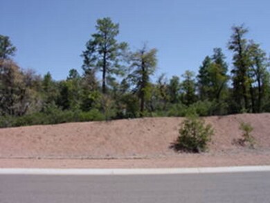 1203 E Phoenix St, Payson, AZ 85541 - photo 3