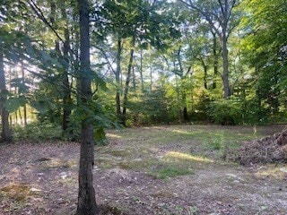 86 Union St, Easton, MA 02356 - photo 2