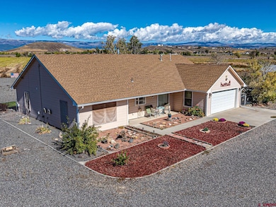 20465 Iris Rd, Austin, CO 81410 - photo 3