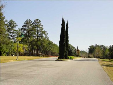 Main Drive