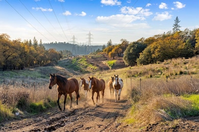 2000 Bear Rock Rd, Placerville, CA 95667 - photo 3