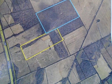 000 Estill Baker Rd, Hanson, KY 42413 - photo 2