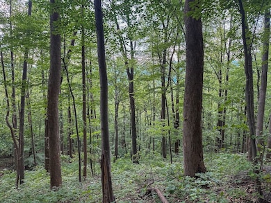 Tbd Ridge St unit LotWP001, Lovingston, VA 22949 - photo 5