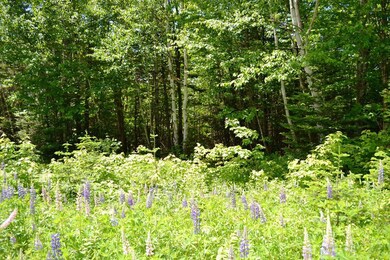 0 Ermine Rd unit 1421547, Sandy River Plantation, ME 04970 - photo 7