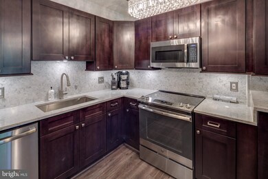 Lakeside Plaza Condominium unit 608, Baileys Crossroads, VA 22041 - photo 4