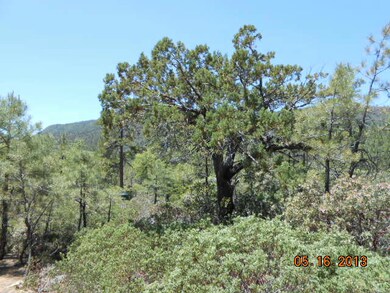 102 Sundown Ln, Pine, AZ 85544 - photo 4