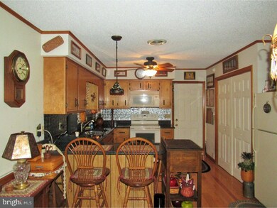 4371 Little Mastens Corner Rd, Felton, DE 19943 - photo 5