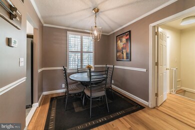 4212 36th St S unit A2, Arlington, VA 22206 - photo 5