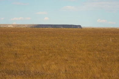 Tbd Cr 73 Lot unit WP001, Hereford, CO 80732 - photo 3