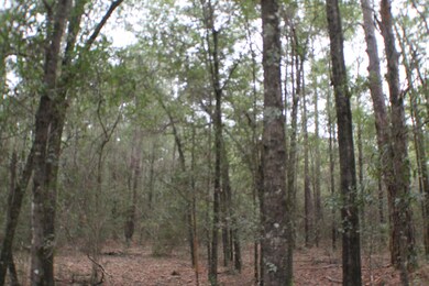 IMG_2172 (1)