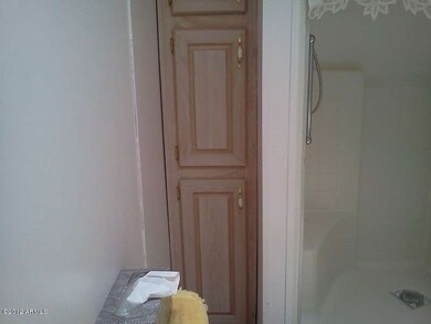 Master Bath storage cabinets
