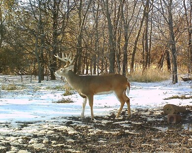 50 AC Refuge, Sherman, TX 75092 - photo 6