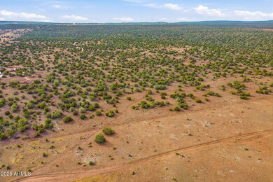 TBD Silver Lake Blvd 16 32 Acres -- unit L & N, Show Low, AZ 85901 - photo 5