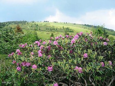 IMG_0073