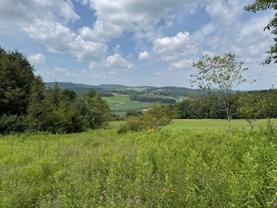 4380 New York 80, Columbus, NY 13460 - photo 7