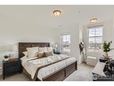 1003 Schlagel St unit 4, Fort Collins, CO 80524 - photo 4