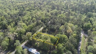 21621 Walker Dr, Conroe, TX 77306 - photo 6