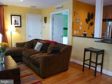 3423 Brown St NW unit 301, Washington, DC 20010 - photo 6