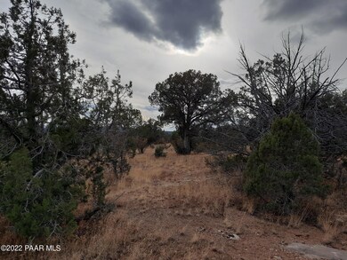 Lot 1396 Juniper Way, Seligman, AZ 86337 - photo 3