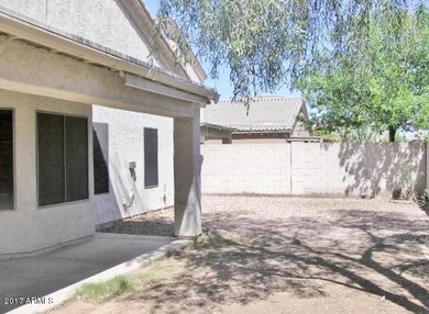 PATIO & BACKYARD