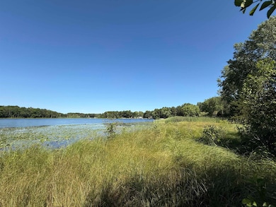 1.18 Acres Deer Run, Packwaukee, WI 53949 - photo 3
