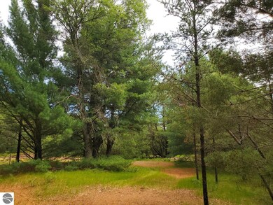 0 Cabin Lake Road Nw Corner at Oleskie Trail unit 1902033, West Branch, MI 48661 - photo 3