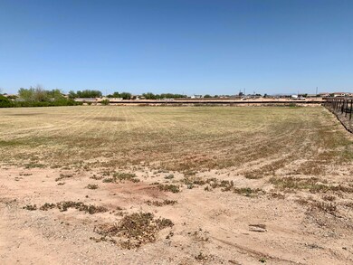 Irrigated Land