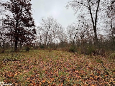 27582 485th St, Rathbun, IA 52544 - photo 3