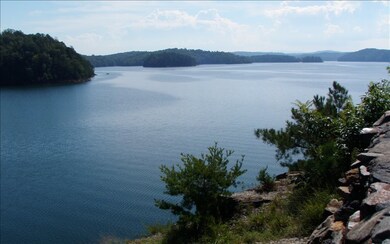 LT56R N Harris Creek Dr, Ellijay, GA 30540 - photo 4