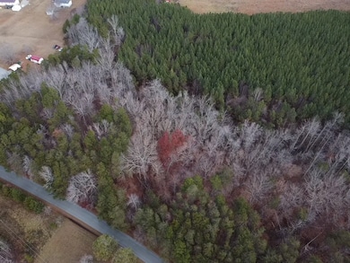 4.1 Acs Leda Rd, Nathalie, VA 24577 - photo 5