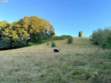 Pasture