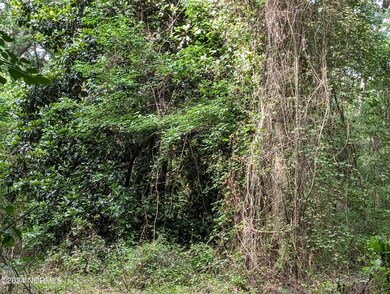 PXL_20240613_201044901