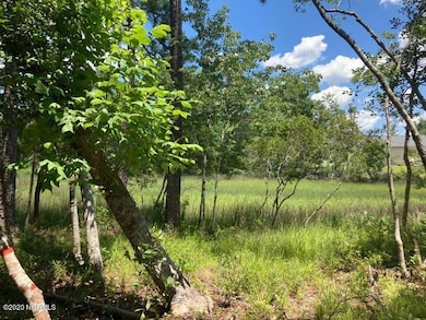 76 Hughes Rd, Hampstead, NC 28443 - photo 7