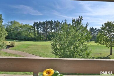 4511 N Tallgrass Ln, Peoria, IL 61615 - photo 6