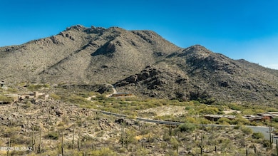 14720 N Soaring Dove Place unit 68, Marana, AZ 85658 - photo 6