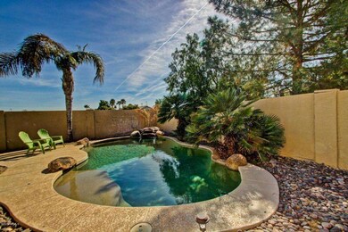Ocotillo (37)