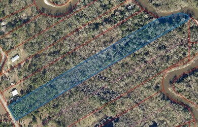 Darling Street Wolf river property