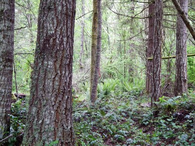 14630 164th Ln SE, Rainier, WA 98576 - photo 2