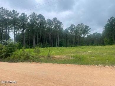 0 Bartlett Rd unit 2502351, Reagan, TN 38368 - photo 2