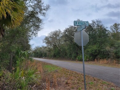 TBD SW Gering Blk 3 Lot 31 Ct, Dunnellon, FL 34432 - photo 7
