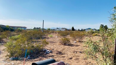 IMG_5043
