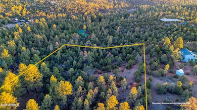 2333 Elk Ridge Ln unit 4H, Overgaard, AZ 85933 - photo 5