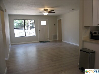 909 N Bishop St, San Marcos, TX 78666 - photo 5