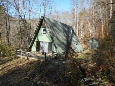 591 Pedlar River Rd, Vesuvius, VA 24483 - photo 5