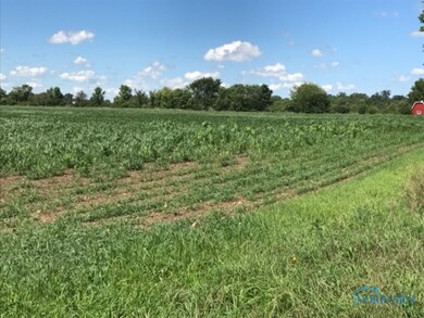 0 Devils Hole Rd unit 6034482, Pemberville, OH 43450 - photo 4