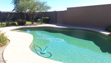 Pool 101512 2