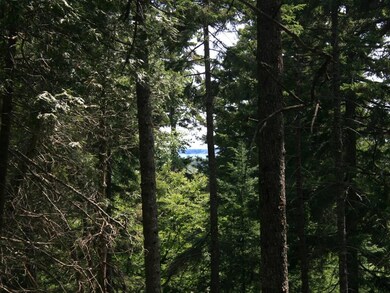 Woods