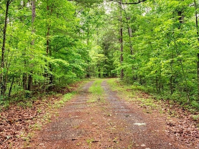 772 Naomi Ct, Ranger, GA 30734 - photo 2