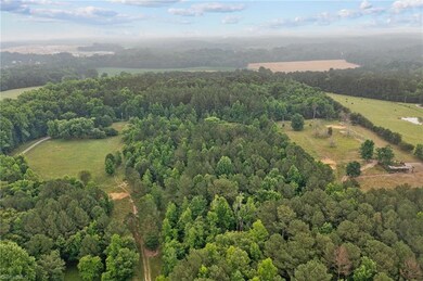 403 Chatham View Rd, Ramseur, NC 27316 - photo 6